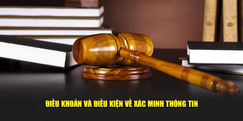 Điều khoản và điều kiện yêu cầu bạn phải xác thực thông tin
