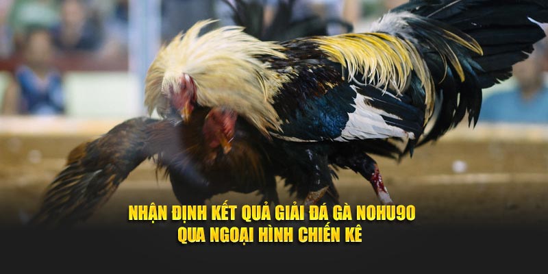 Nhận định kết quả giải đá gà Nohu90 qua ngoại hình chiến kê