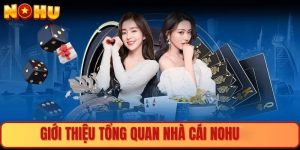 Khám phá thêm nhiều thông tin giá trị về NOHU hàng đầu!