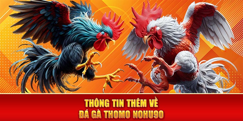 Thông tin thêm về đá gà Thomo Nohu90